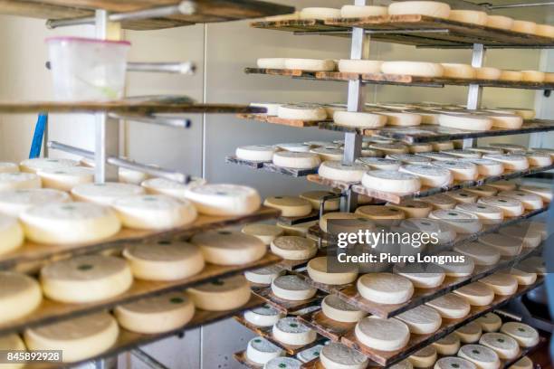 artisanal hand made raw milk reblochon cheese made in the village of le grand-bornand, haute savoie, france - rauwe melk stockfoto's en -beelden