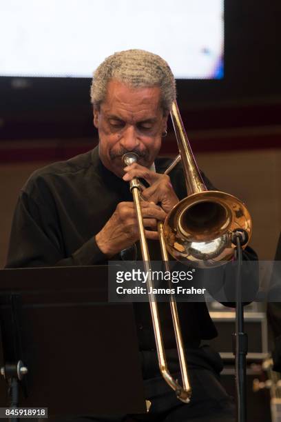 Bill McFarland performs on stage at The Chicago Blues Festival on June 9, 2017 in Chicago, Illinois.