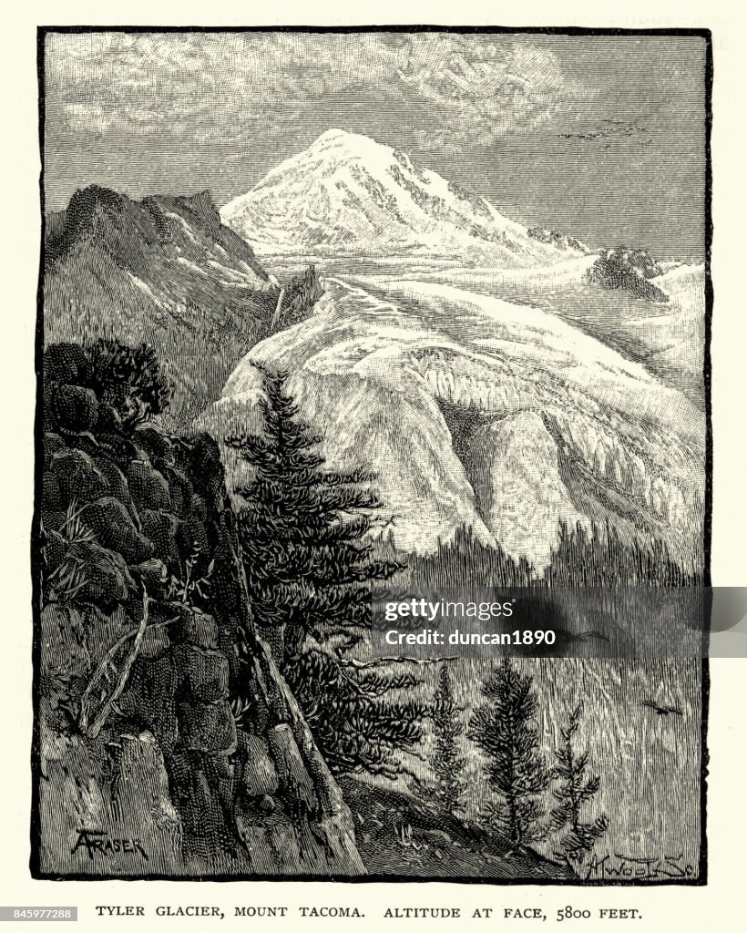 Taylor Glacier, Mount Rainier, 19th Century