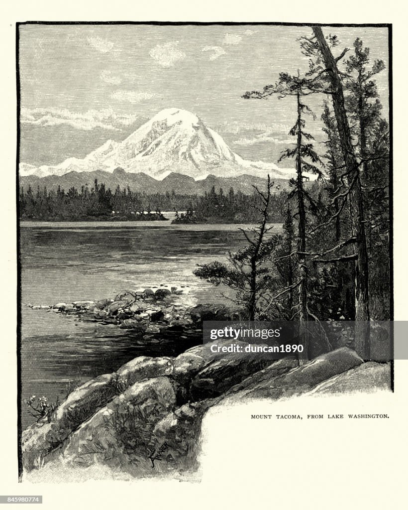 Mount Rainier, from Lake Washington, 19th Century
