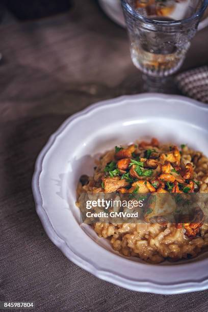 risotto with chanterelle mushrooms and parmesan - cantharellus cibarius stock pictures, royalty-free photos & images