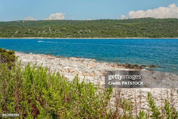 sakarun cove - sakarun bildbanksfoton och bilder