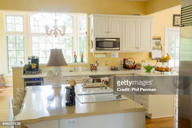 Actor Ernie Hudson's home is photographed for Closer Weekly Magazine on July 5, 2017 in Minnesota. Kitchen. PUBLISHED IMAGE.