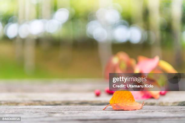Table Fall Down Falling Off Table Photos and Premium High Res Pictures - Getty Images