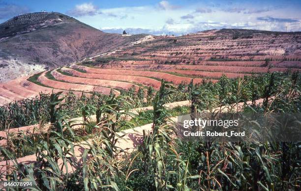 lomos de control de erosión contorneada en colinas erosionadas cerca de asunción nochixtlán oaxaca méxico - plantación en contorno fotografías e imágenes de stock