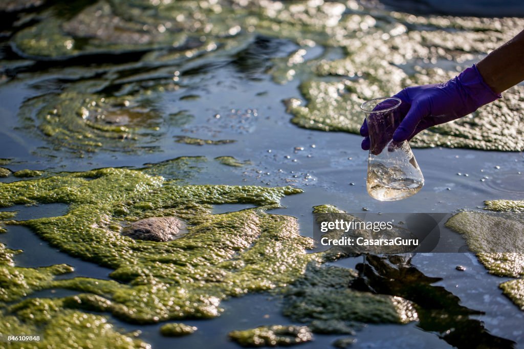 Ecologyst taking a Water Sample