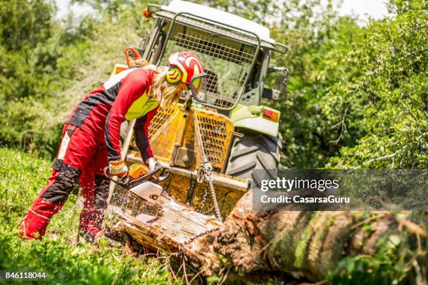 holzfäller frau sägen mit der motorsäge - waldarbeiter stock-fotos und bilder