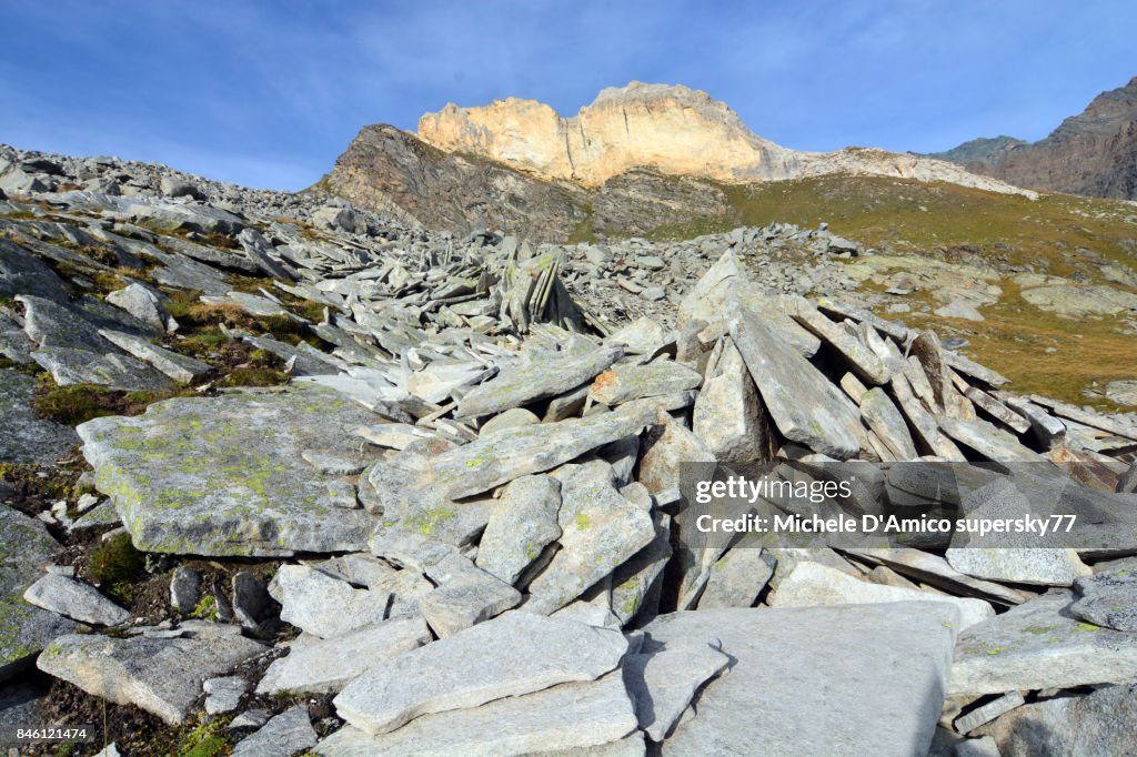 Stone waves in an active blockstream