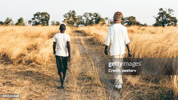 rural west africa, the gambia - gambia stock pictures, royalty-free photos & images