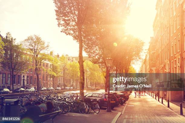 street in amsterdam with sun flare, netherlands - alley bildbanksfoton och bilder