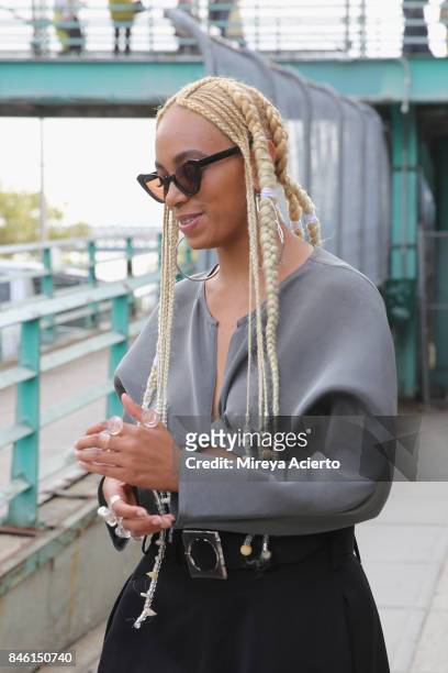 Singer Solange Knowles attends the Maryam Nassir Zadeh fashion show during New York Fashion Week on September 12, 2017 in New York City.