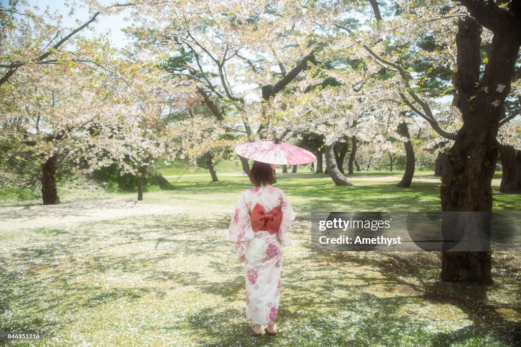 Cherry Blossom and Yukata