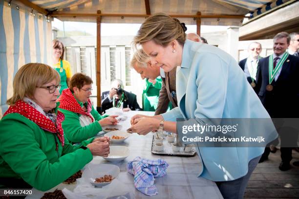 King Philippe of Belgium and Queen Mathilde of Belgium attend the shrimp fishing demonstration of the Orde van de Paardevissers on September 12, 2017...