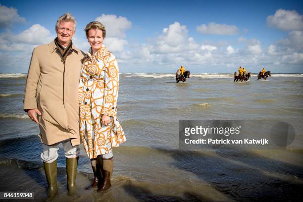 King Philippe of Belgium and Queen Mathilde of Belgium attend the shrimp fishing demonstration of the Orde van de Paardevissers on September 12, 2017...