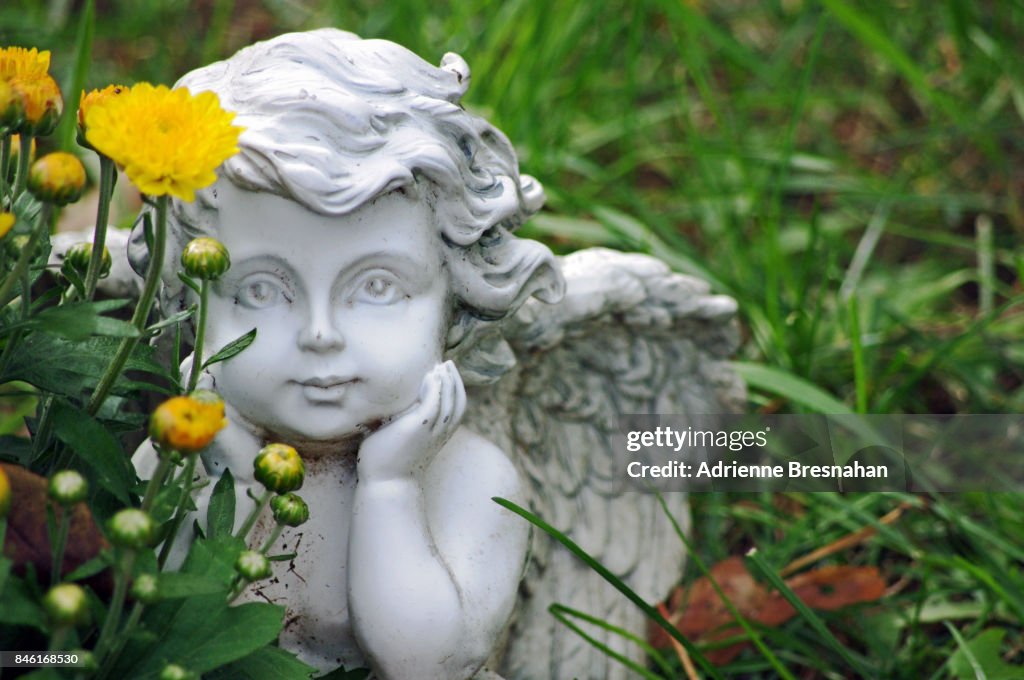 Angel Statue, Close-up, in Grass
