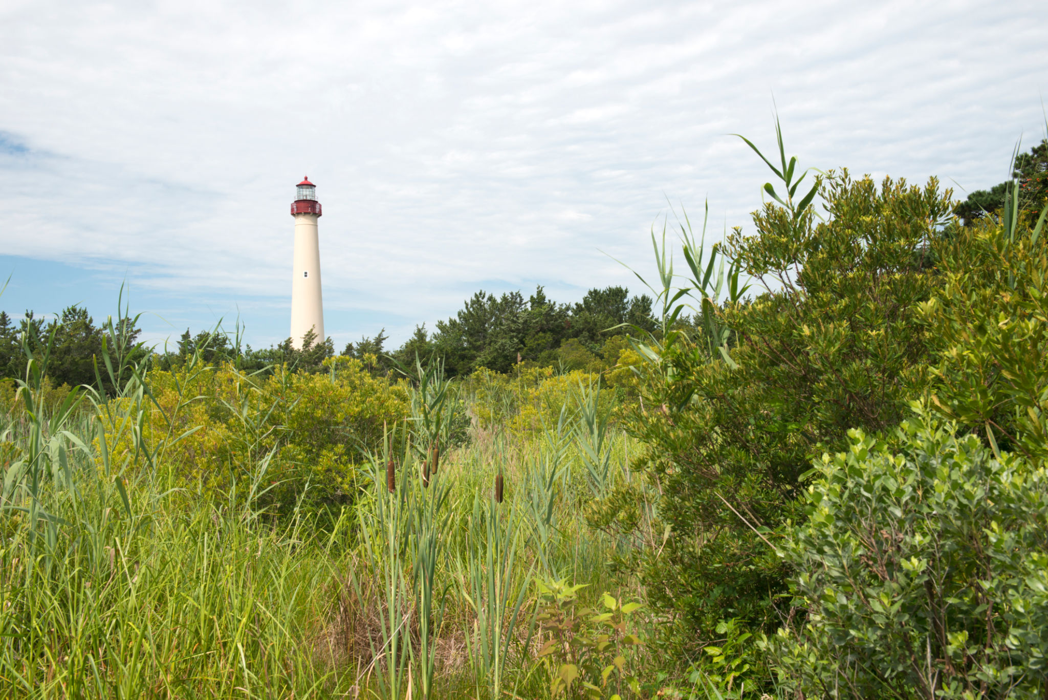 Cape May park