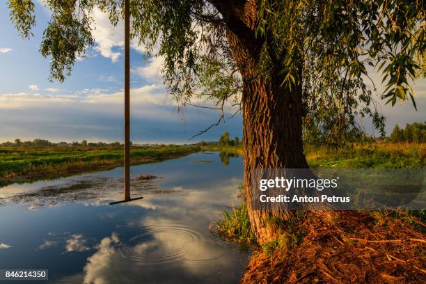 River Reeds Rope 260 Wicker Rope Stock Photos, High-Res Pictures, and Images - Getty Images