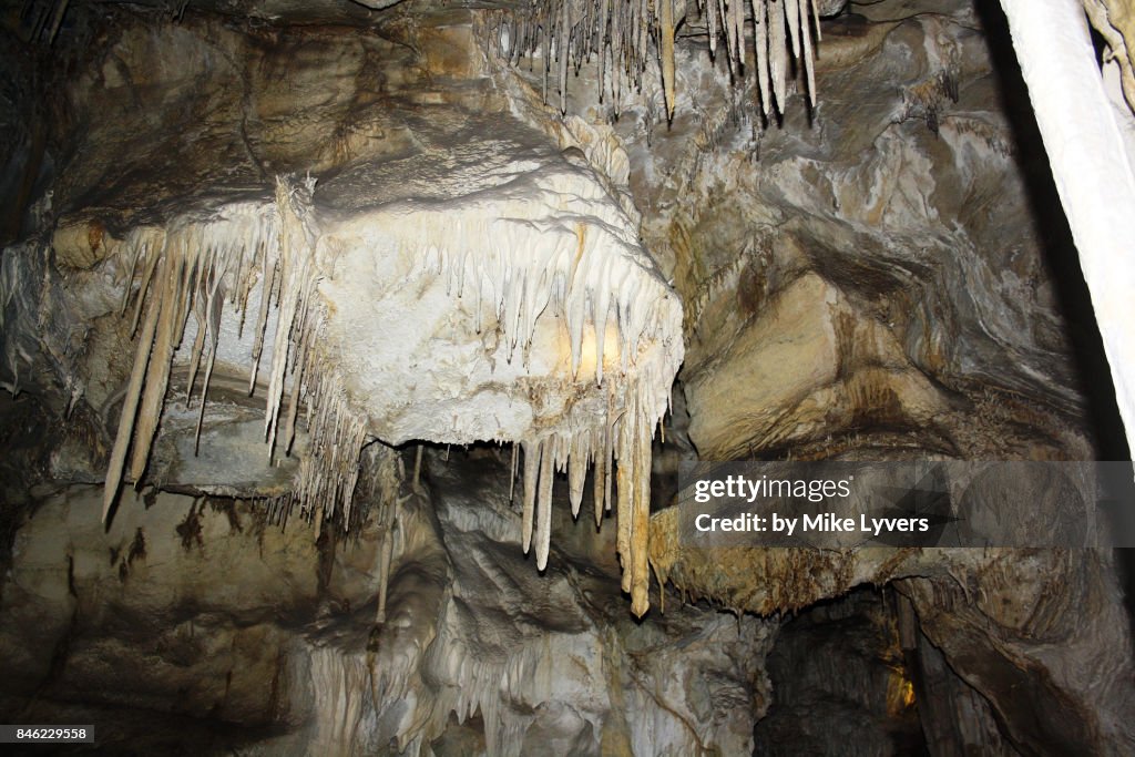 Cave shield formation with stalactites, Lehman Cave
