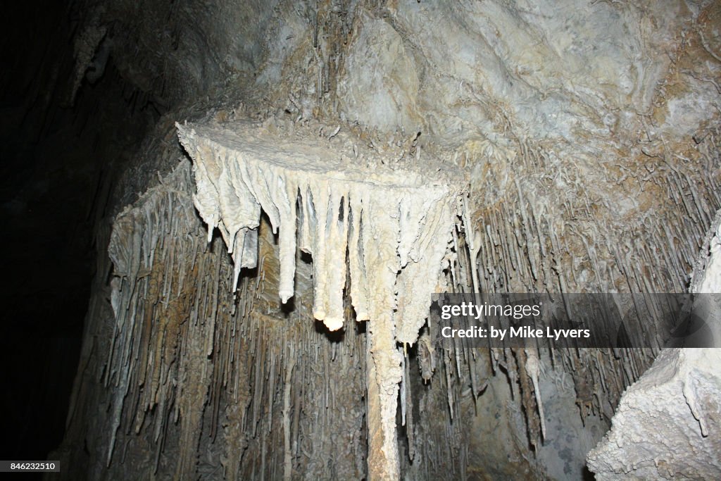 Rare shield formation, Lehman Cave