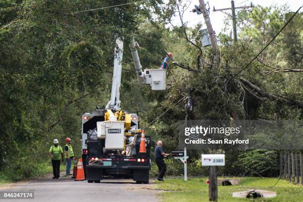 Utility crew repairs lines damaged by Hurricane Irma September 12, 2017 in Hastings, Florida, United States. The storm brought flooding to areas not...