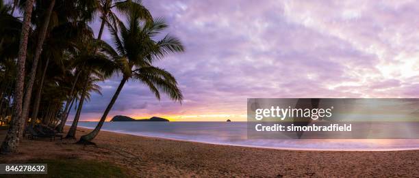 dawn in palm cove, queensland, australië - cairns australië stockfoto's en -beelden