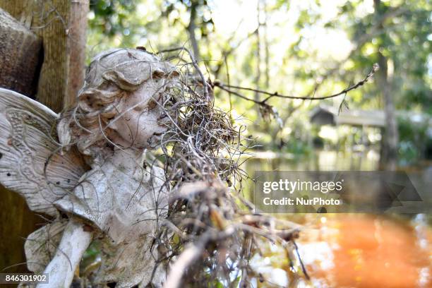 Water comes up to roofs of homes near Black Creek in Middleburg, FL, on September 12, 2017 after water levels rose from Hurricane Irma. The storm...