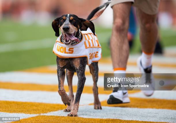 Tennessee mascot Smokey runs across the end zone after a touchdown during a game between the Indiana State Sycamores and Tennessee Volunteers on...