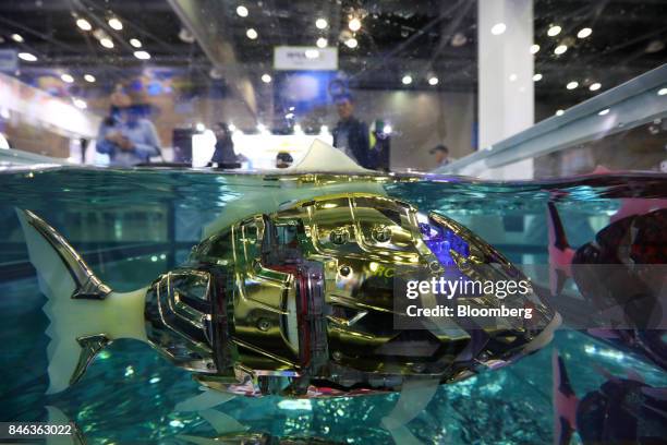 An AIRO Inc. Robot fish is seen inside a water tank at the RobotWorld 2017 industry show in Goyang, South Korea, on Wednesday, Sept. 13, 2017. The...