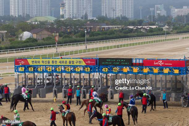 Jockeys compete the Race 8 at Seoul Racecourse on September 9, 2017 in Seoul, South Korea. The 2nd Korea Autumn Racing Carnival take place at Seoul...