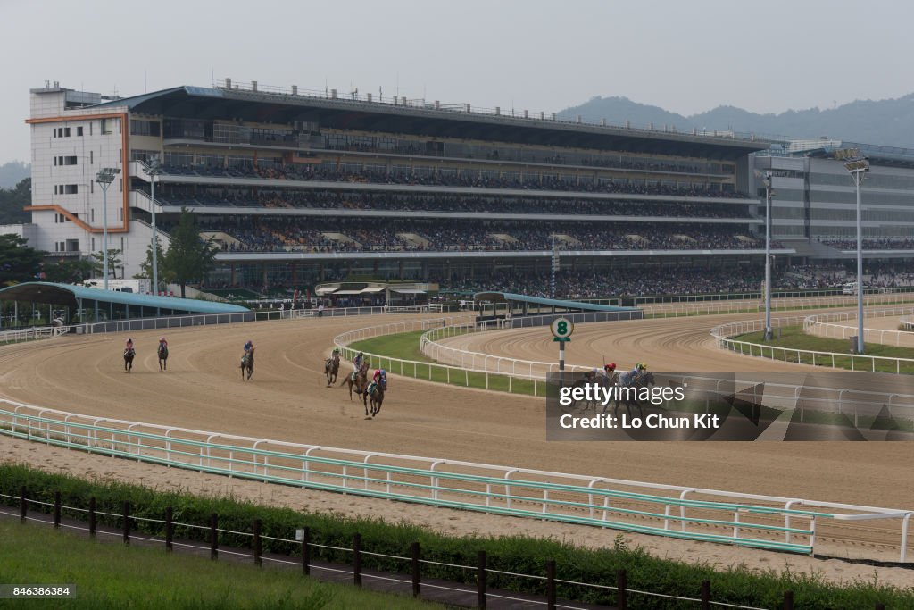 Getty Racing Fall Images Jockeys compete the Race 8 at Seoul Racecourse on September 9, 2017 ...