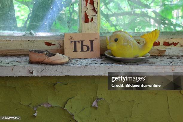 Ukraine. Restricted Zone. In the Uninhabitable 30 Kilometer Zone Around the Power Plant Of Chernobyl and the Laborers Settlement Pripjat. In the...