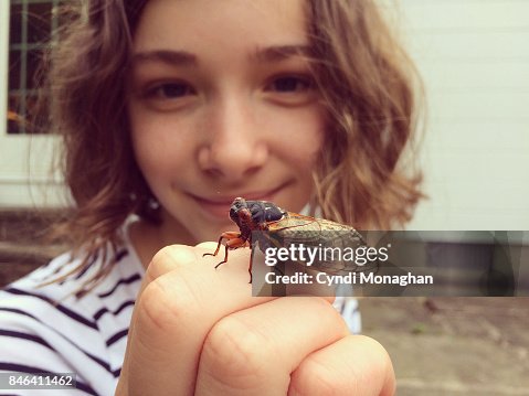 Girl Studying Cicada Girl Studying Cicada