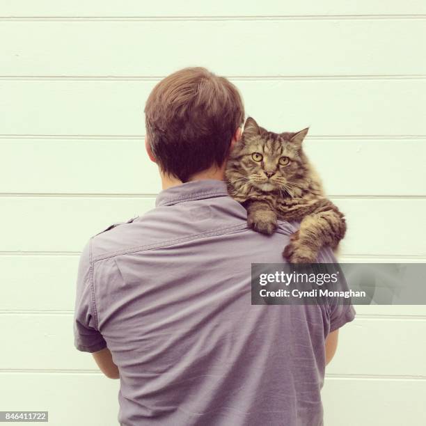 a man with a cat - maine coon stockfoto's en -beelden