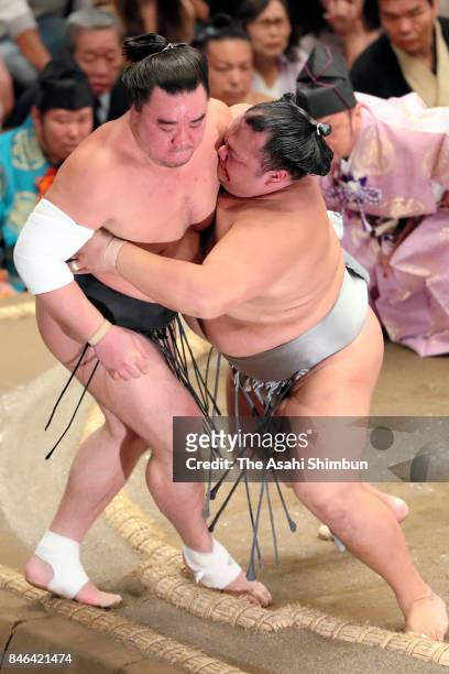 Hokutofuji pushes Mongolian yokozuna Harumafuji out of the ring to win during day four of the Grand Sumo Autumn Tournament at Ryogoku Kokugikan on...