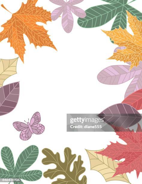 hand drawn fall leaves background - ash tree stock illustrations