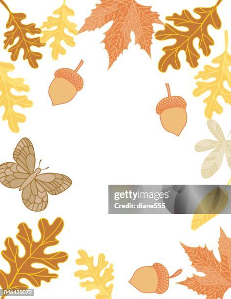 hand drawn fall leaves background - ash tree stock illustrations