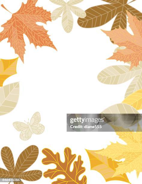hand drawn fall leaves background - ash tree stock illustrations