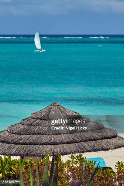 a view out to sea from a caribbean beach. - turks and caicos stock pictures, royalty-free photos & images