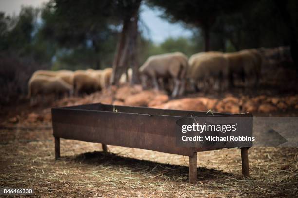 trough - trough stock pictures, royalty-free photos & images