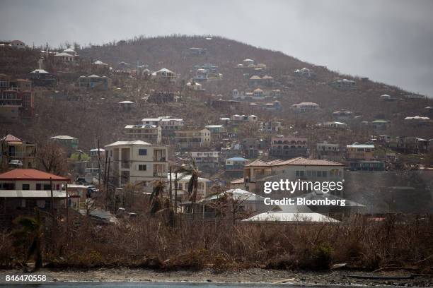 Damaged buildings and trees are seen after Hurricane Irma in St John, U.S. Virgin Islands, on Tuesday, Sept. 12, 2017. After being struck by Irma...
