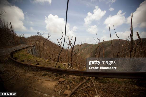 Damaged tree branches lay on the ground after Hurricane Irma in St John, U.S. Virgin Islands, on Tuesday, Sept. 12, 2017. After being struck by Irma...