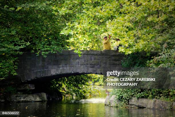 st. stephens green in autumn - st stephens green stock pictures, royalty-free photos & images