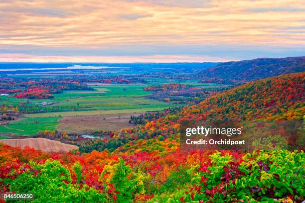 champlain lookout in gatineau park - valley stock pictures, royalty-free photos & images