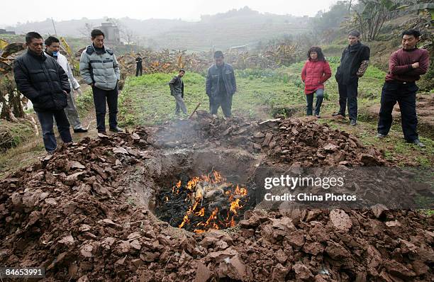 Dead chickens are burnt in a pit prior to being buried at the No. 7 Community at Lanfeng Village of Yuanyang Township on February 5, 2009 in...