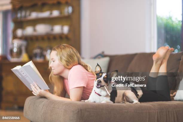 the joy of living with pets - american literature stock pictures, royalty-free photos & images