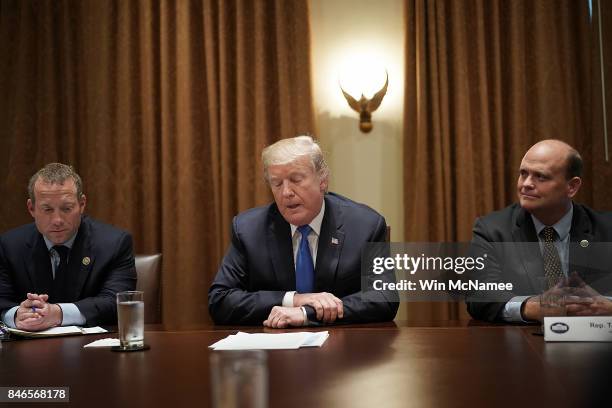 President Donald Trump meets with Democratic and Republican members of Congress, including Rep. Josh Gottheimer and Rep. Tom Reed , in the Cabinet...