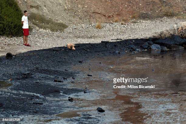 Youngh man inspects a beach on the coast of Salamis Island which has been polluted with oil on September 13, 2017 in Salamis, Greece. The small...