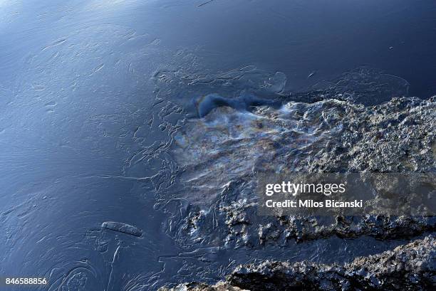 Oil pollutes the water on the coast of Salamis Island on September 13, 2017 in Salamis, Greece. The small tanker 'Agia Zoni II' sank on September 10,...