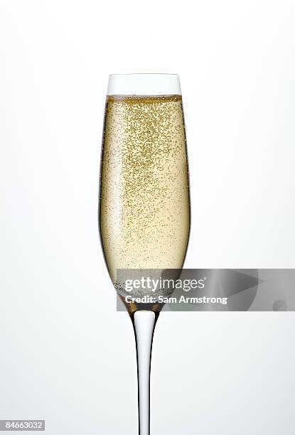 champagne in champagne flute. - bulles champagne photos et images de collection