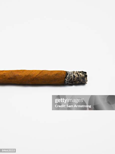 a lit cigar on a white background. - ceniza fotografías e imágenes de stock